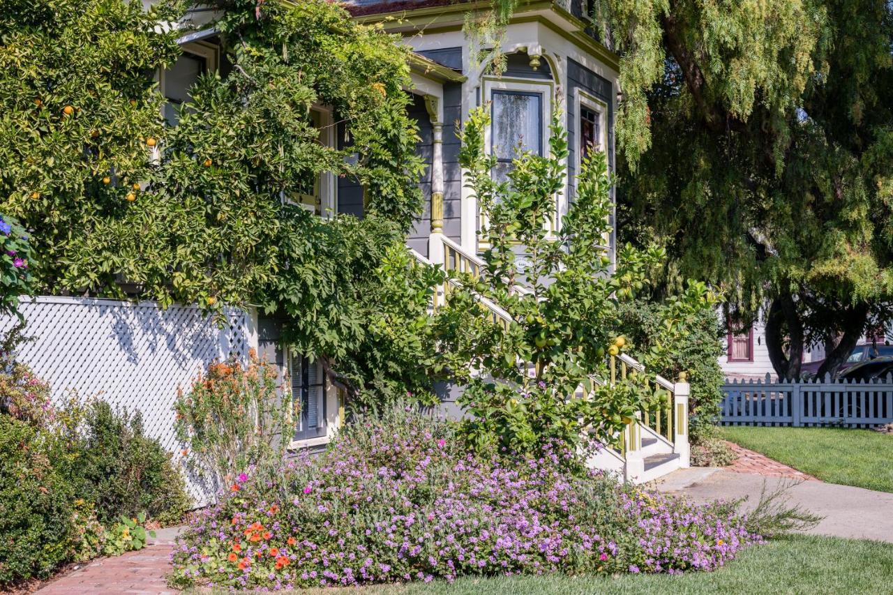 Madison Street Inn B&B Santa Clara Dış mekan fotoğraf